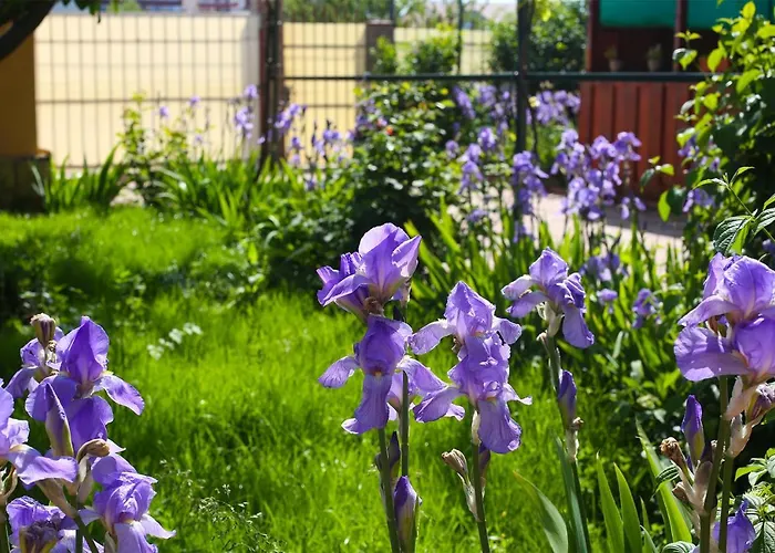 ゲストハウス Magica 3*